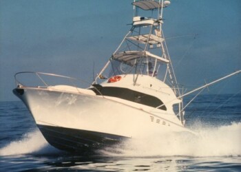 REPORT: Hot marlin bite tapers off